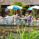 Garantiert das exotischste Café: Im Vogelpark Niendorf erleben Sie Genuss mit Klangkulisse