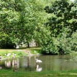 Idylle im Niendorfer Naturschutzgebiet: der Eulen- und Vogelpark bietet Entspannung und Entdeckung seltener Vogelarten.