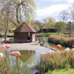 Ausflugsziel im Niendorfer Naturschutzgebiet: Eulen, Enten, Flamingos und Exoten finden im Niendorfer Vogelpark ein behagliches Quartier für sich und den Nachwuchs.